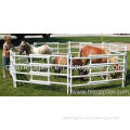 New Style Superior Quality Horse Corral Panel 
